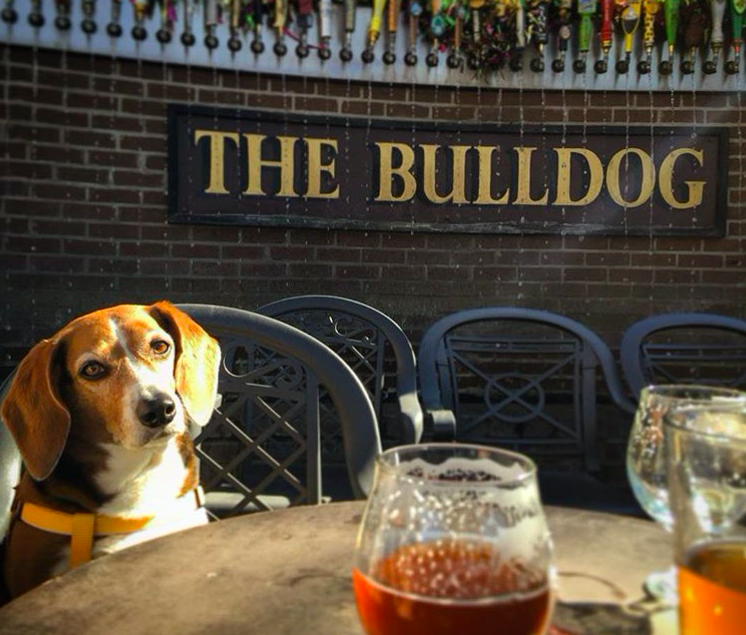 the bulldog pub new orleans